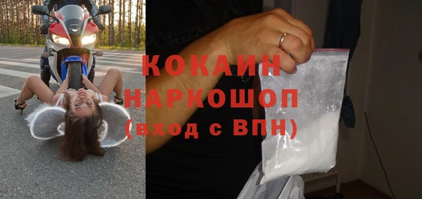 гидра Новозыбков