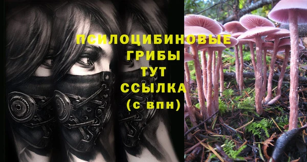 дживик Болхов