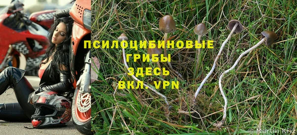 соль ск Новокубанск