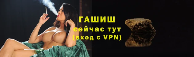 гидра Новозыбков