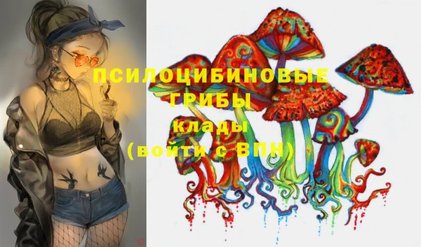 дживик Болхов