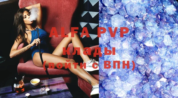 гидра Новозыбков