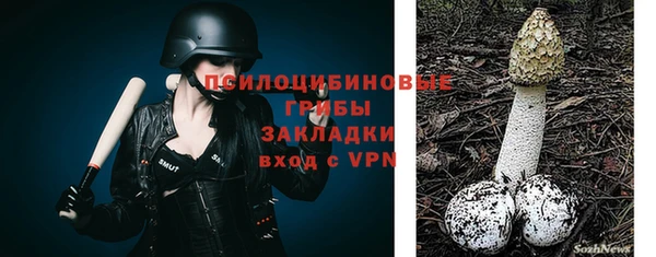 соль ск Новокубанск